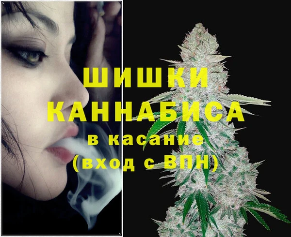 ПСИЛОЦИБИНОВЫЕ ГРИБЫ Алзамай