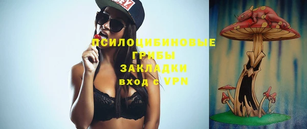 спайс Алексин