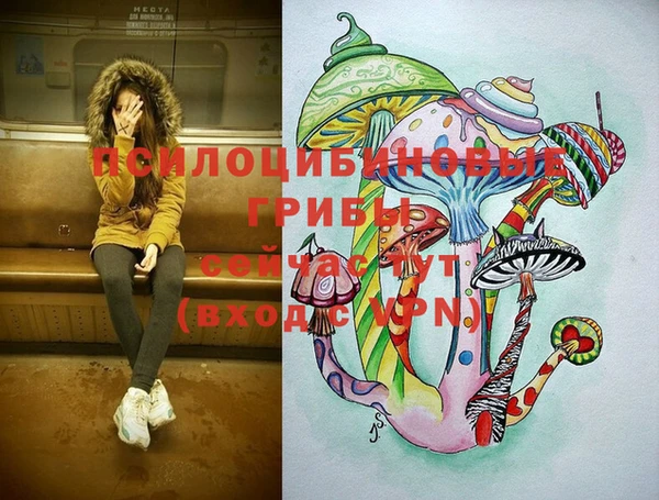 ПСИЛОЦИБИНОВЫЕ ГРИБЫ Алзамай