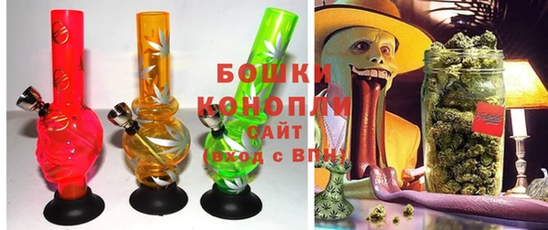 ПСИЛОЦИБИНОВЫЕ ГРИБЫ Алзамай