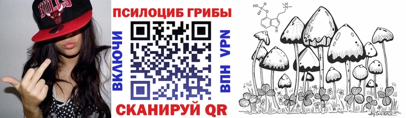 Псилоцибиновые грибы MAGIC MUSHROOMS  Ардон 